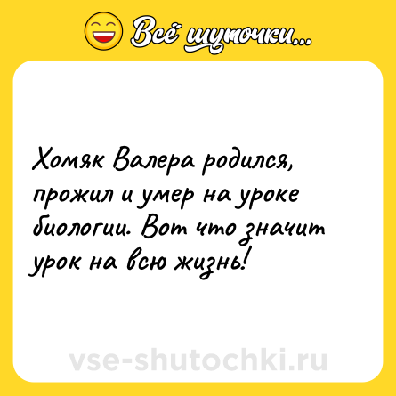 Шутка: Хомяк Валера родился, прожил и умер на уроке биологии. Вот что значит урок на всю жизнь!