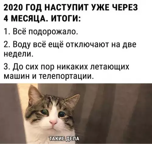 Смешная картинка №380884