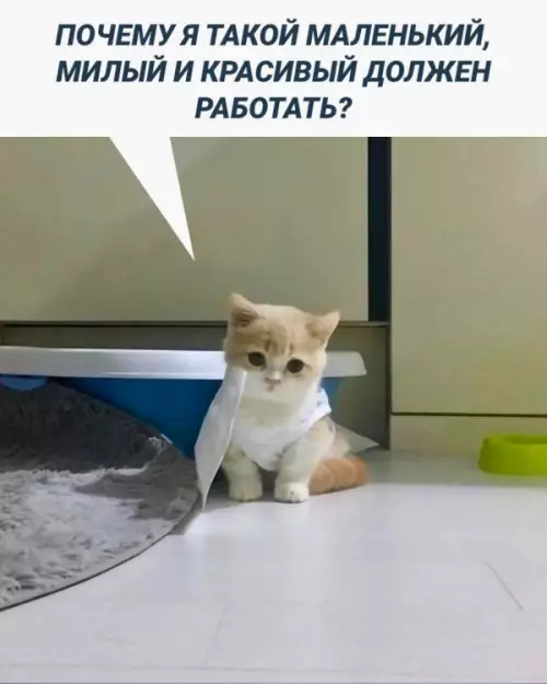 Смешная картинка №656710