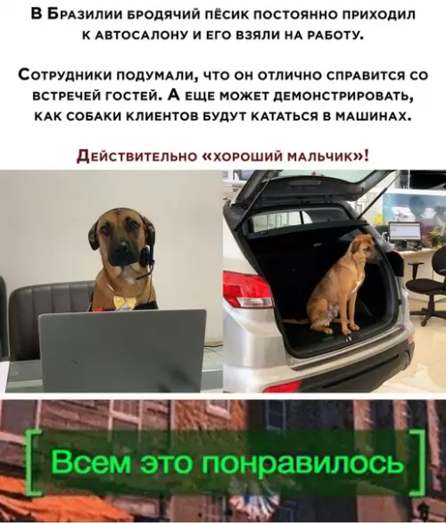 Смешная картинка №511848