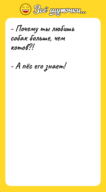 - Почему ты любишь собак больше, чем котов?! -