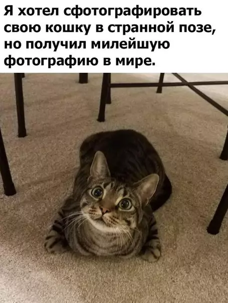 Смешная картинка №244510