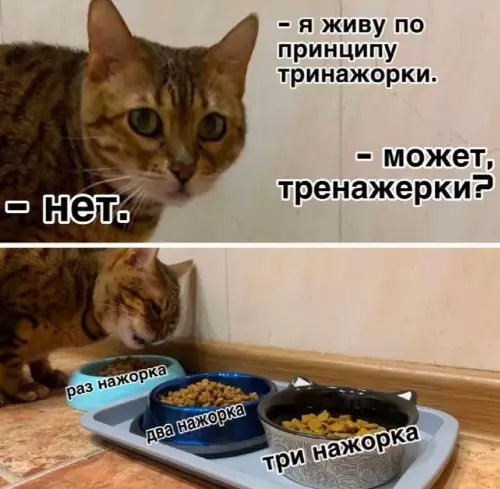 Смешная картинка №787158