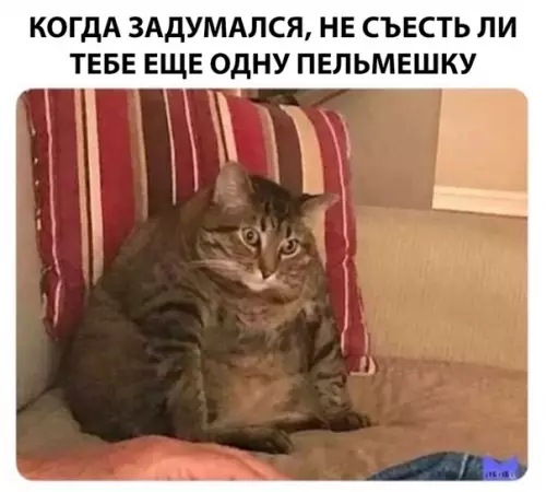 Смешная картинка №312558
