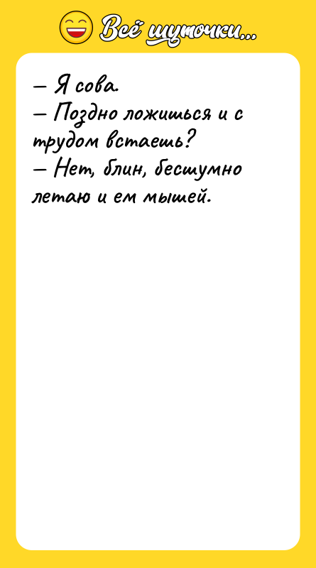 Я сова. Поздно ложишься и с трудом встаешь?
