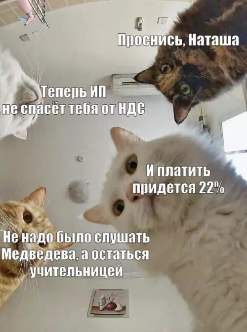 Смешная картинка №784559