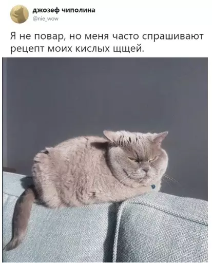 Смешная картинка №312351 Секрeтный ингpедиeнт.