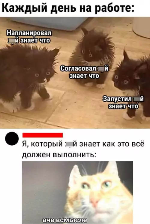Смешная картинка №711532 работа