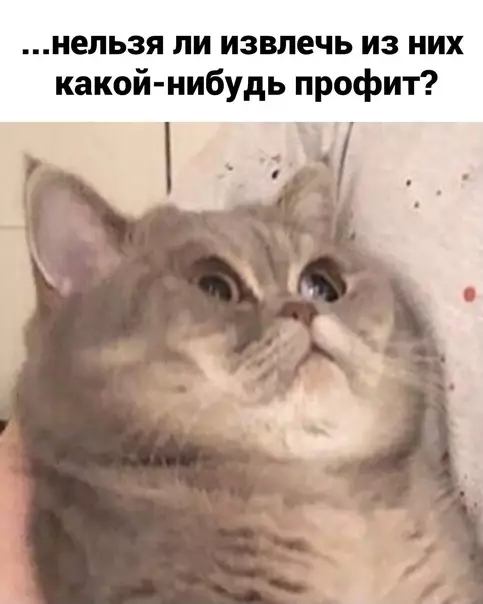 продолжение Смешная картинка №572680 Koтьи мыcли