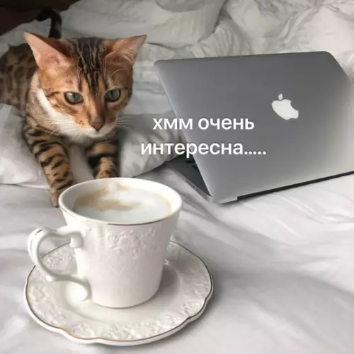 Смешная картинка №764749