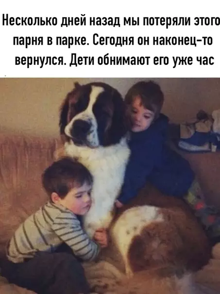 Смешная картинка №526089
