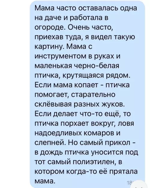 продолжение Смешная картинка №630820