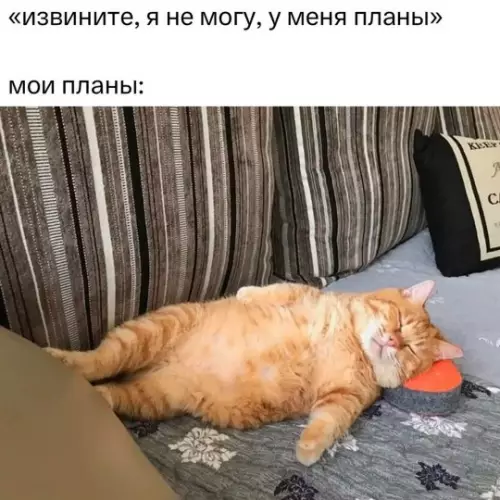 Мой идеальный выходной 😼💤 - извините, я не могу, у меня планы мои планы:
