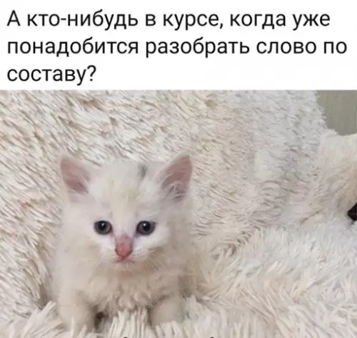 Смешная картинка №708384 Тогда же, когда пригодится решение квадратных уравнений