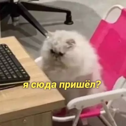 продолжение Смешная картинка №657767