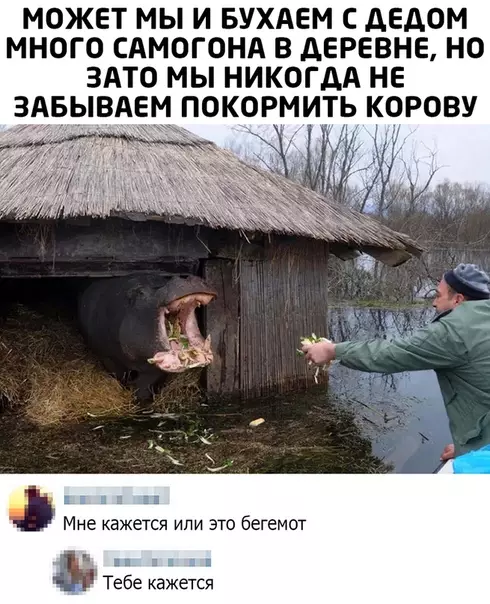 Смешная картинка №512245