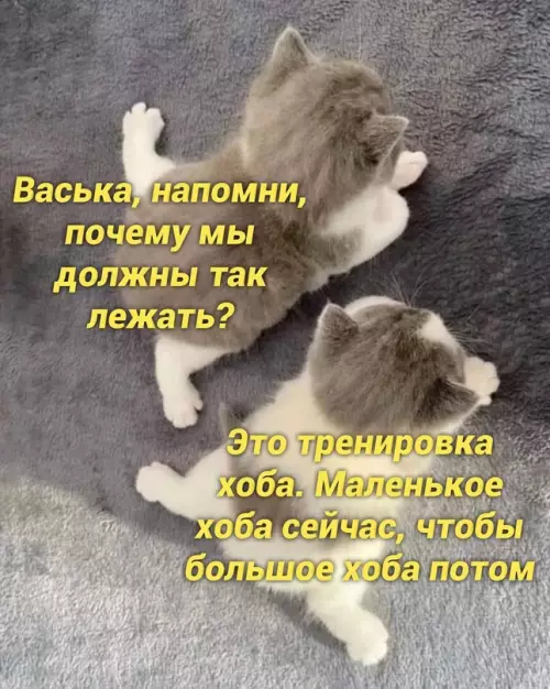 Смешная картинка №666348