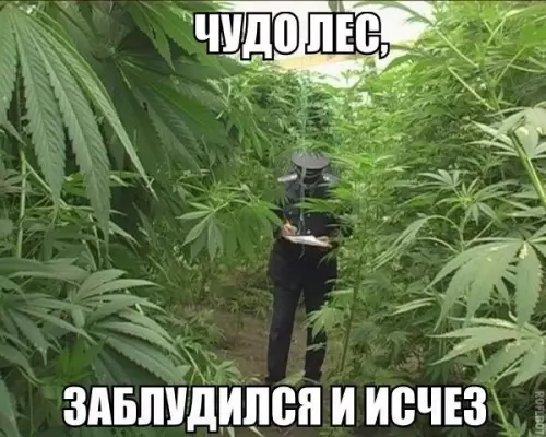 Смешная картинка №201301