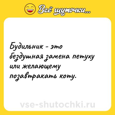 Шутка: Будильник - это бездушная замена петуху или желающему позавтракать коту.