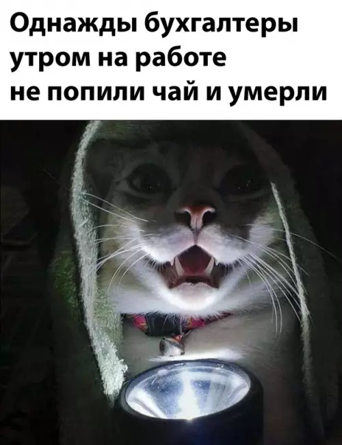 Смешная картинка №650313 Бухгалтерия