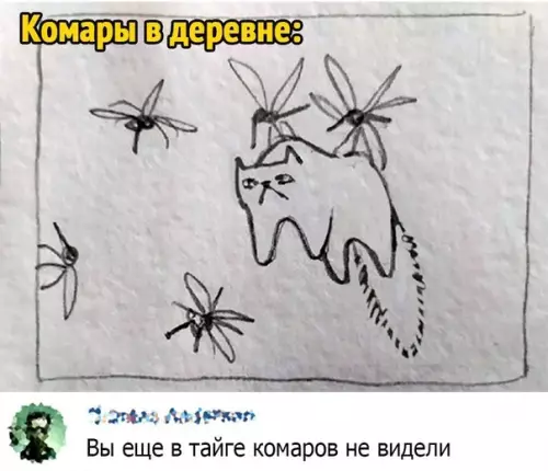 продолжение Смешная картинка №589060