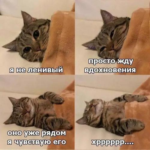 Смешная картинка №263703