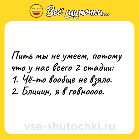 Шутка: Пить мы не умеем, потому что у нас всего 2 стадии:<br>1. Чё-то вообще не взяло.<br>2. Блииин, я в говноооо.