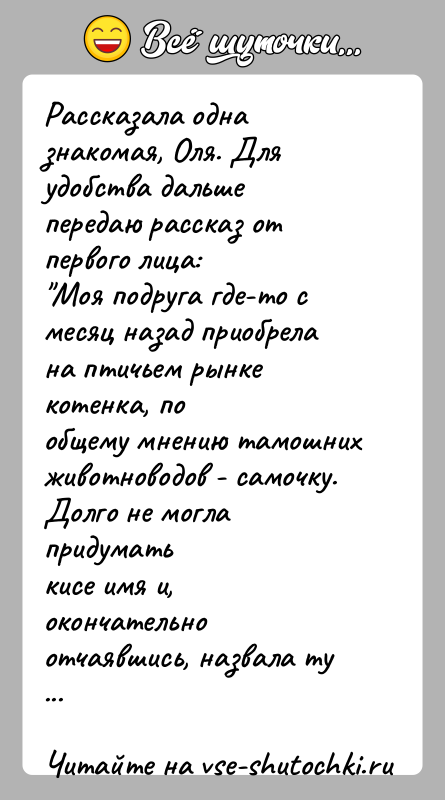 История: Рассказала одна знакомая, Оля. Для удобства дальше передаю рассказ отпервого лица: Моя подруга где-то с месяц назад приобрела на птичьем рынке