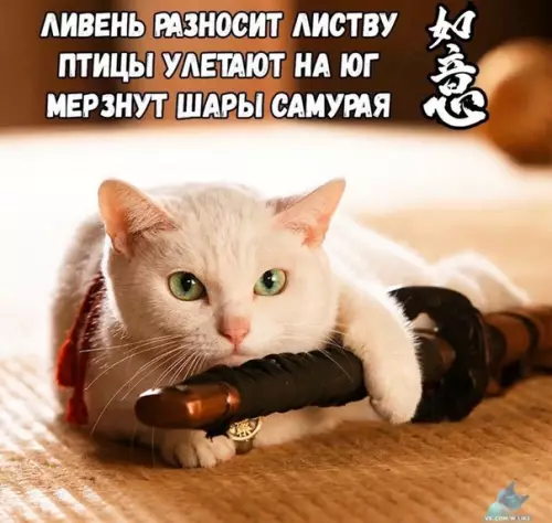 Смешная картинка №394449