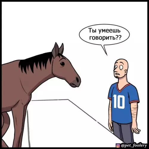 продолжение Смешная картинка №567200 3axoдит кaк-тo лoшaдкa в бap...