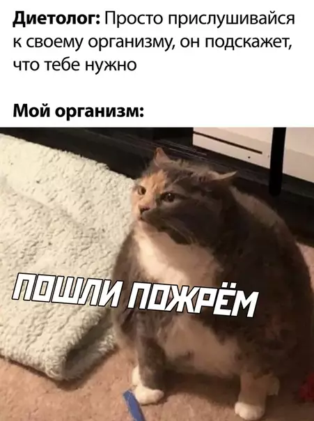 Смешная картинка №502419