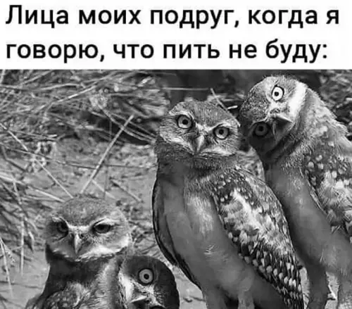Смешная картинка №673642