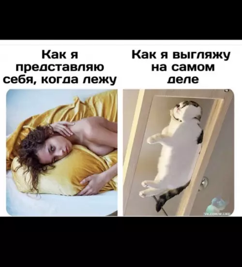 Смешная картинка №377848
