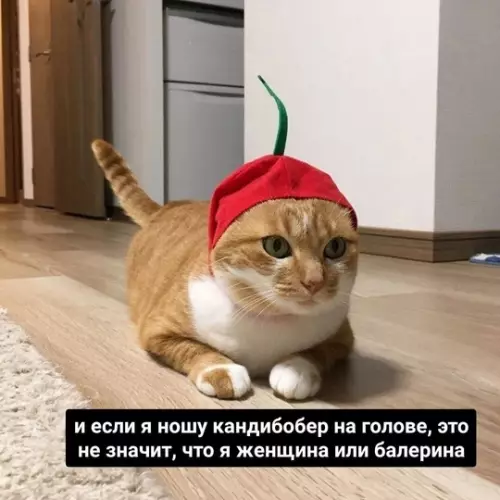 Смешная картинка №759565