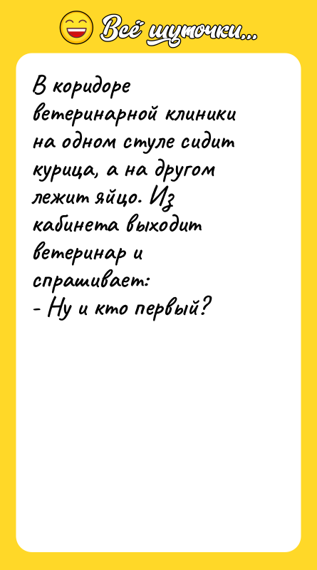 В коридоре ветеринарной клиники на одном стуле сидит курица, а