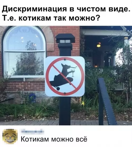 Смешная картинка №369996 #приколы #картинки #мемы ?