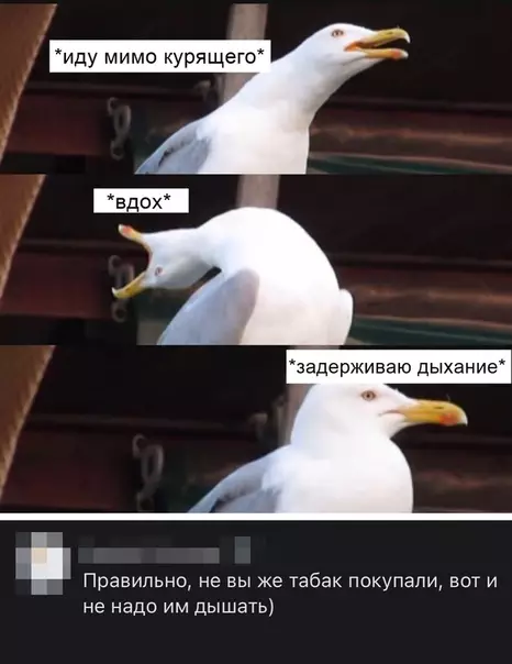 Смешная картинка №537809