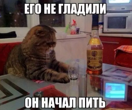 Смешная картинка №376077