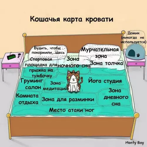 Смешная картинка №209962