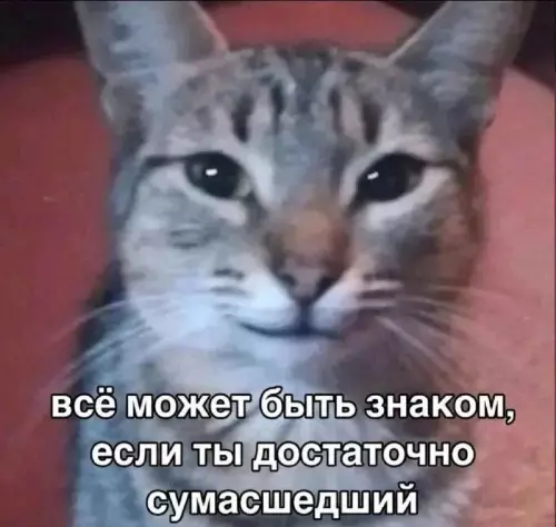 Кот-философ знает все знаки! 😼✨ - всё может быть знаком, если ты достаточно сумасшедший