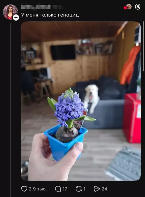 продолжение Искусство или шутка?