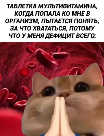 Смешная картинка №753289