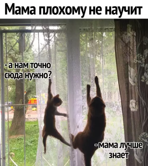 Смешная картинка №282868