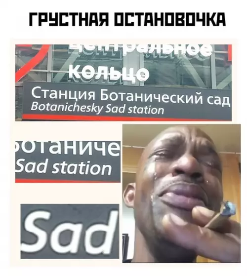 Смешная картинка №373084