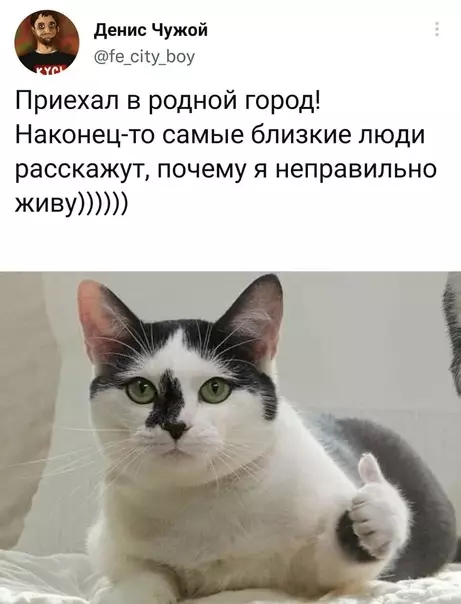 Смешная картинка №621932