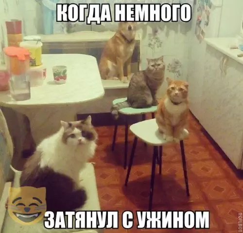 Смешная картинка №347076 #приколы #картинки #мемы ?
