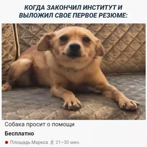 Смешная картинка №680638