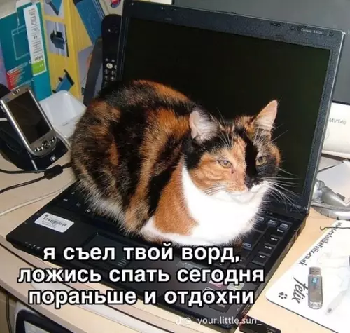 Смешная картинка №747736