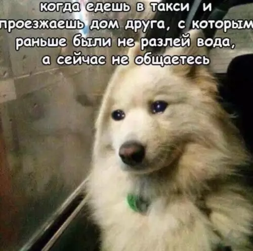 Смешная картинка №468777