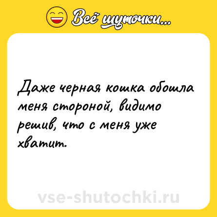 Шутка: Даже черная кошка обошла меня стороной, видимо решив, что с меня уже хватит.